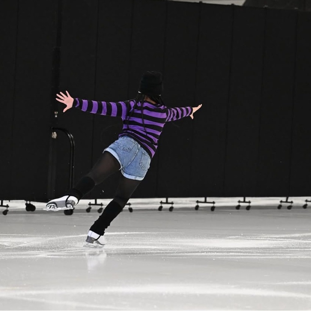 Purple and Black Striped Long Sleeve Shirt